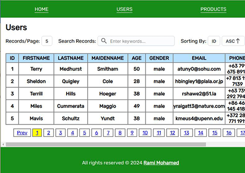 Eng. Rami Mohamed, Senior Software Engineer, Full Stack Developer Project Image